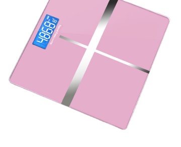 50G-360 kg digitale elektronische Waageskala