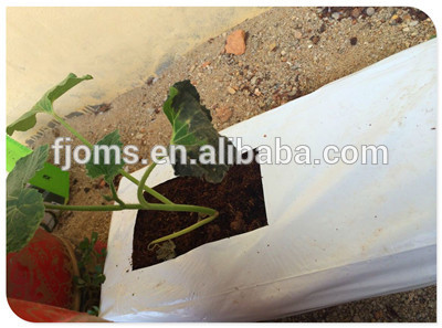 hydroponics coco peat grow bags for shiitake mushroom and oyster mushroom