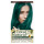 Best Vibrant Pastel Green Hair Color Cream