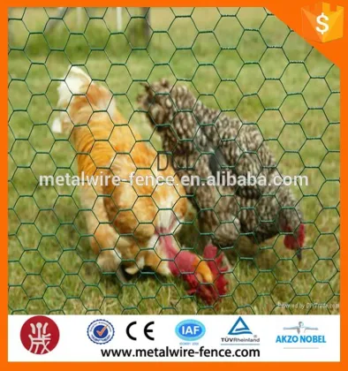 Hexagonal small mesh nets