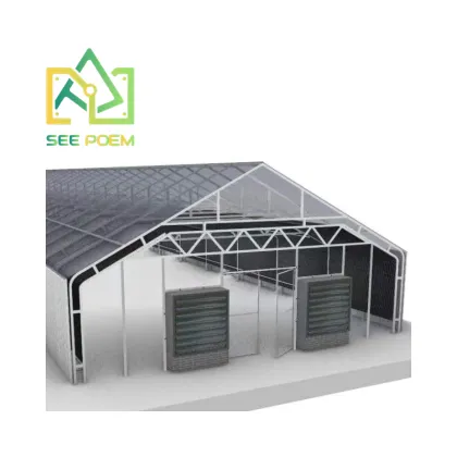 Skyplant Greenhouse HPS DE 1000w Grow Light System