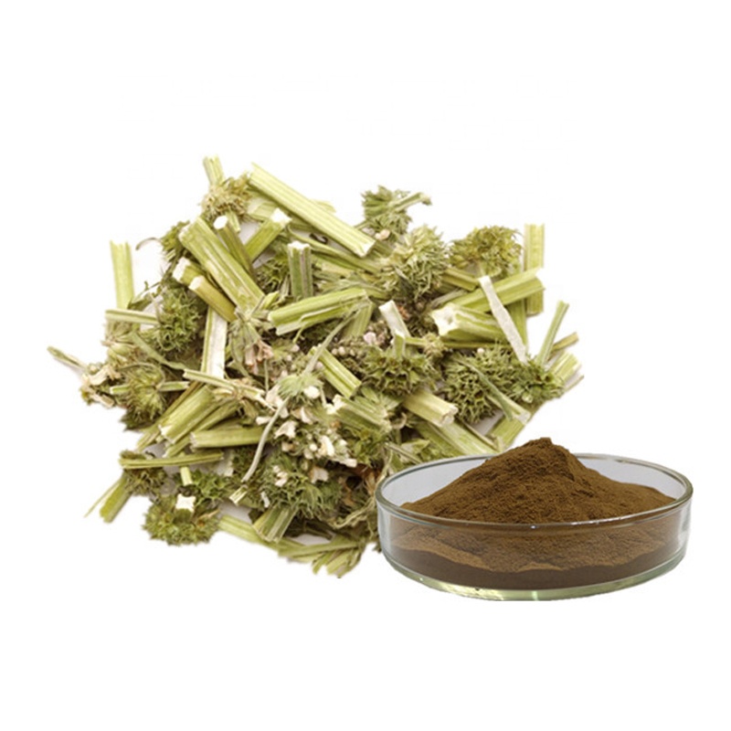 Motherwort Extract1 Jpg