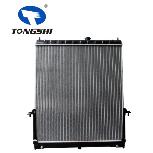 Radiator Spare Parts for NISSAN SAFAI 07-AT OEM 21460-VC200 Radiator Sale