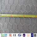 Hexagonal Chicken Wire Mesh From Anping