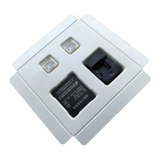 Custom biodegradable paper pulp molded packaging insert