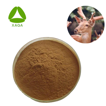 Deer Velvet Antler Extract Protein Peptide Powder 90%