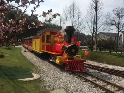 electric train for outdoor electric train