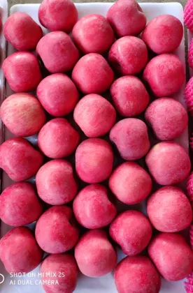 First Class Grade A quality apple