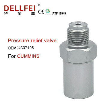 Fuel pressure relief valve 4307195 For CUMMINS