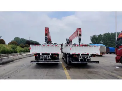 ISUZU GIGA 10 Wheels Crane Truck with Telescopic Boom, Knuckle Manipulator, and Sany Palfinger Crane