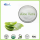 Aloe Vera P.E Extract Powder Aloe Gel Powder