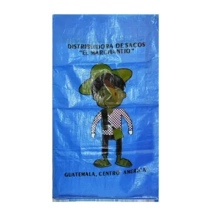 Custom PP Woven Courier and Post Packing Mailing Bags