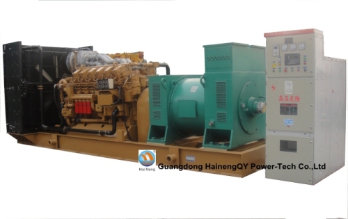 250kw Shangchai Diesel Generator Set (HNS-250)