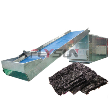 Seaweed Mesh Conveyor Belt Dryer for Food