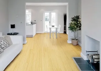 Engineered Bamboo Flooring