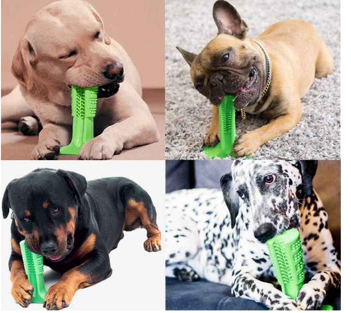 silicone pet toy