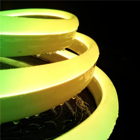 Super Bright 12V RGB Neon Flex LED Light