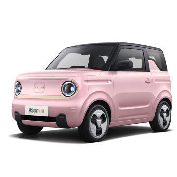 2024 Geely Panda Mini EV: A New Generation Adult Electric Car for Sustainable Mobility