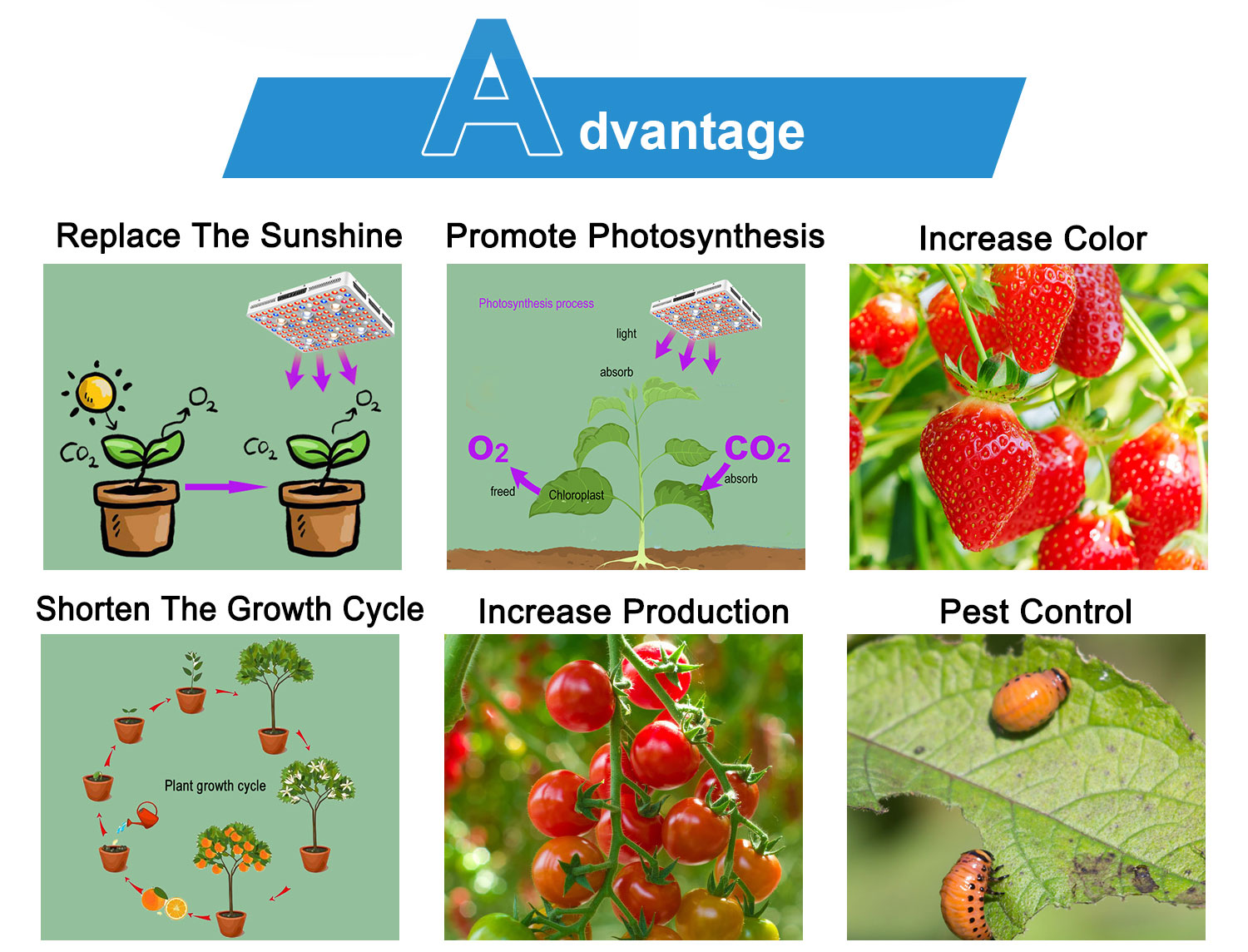 advantage of CREE cob light