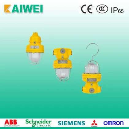 BDD81 Series Explosion-proof Lightings Energy-saving lamps
