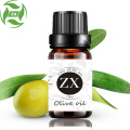 High quality and lower price Olive essential oil