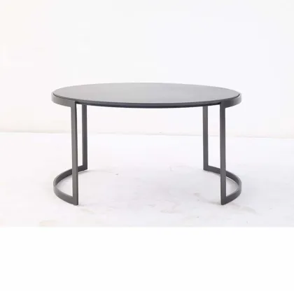 Modern Lema ortis coffee table