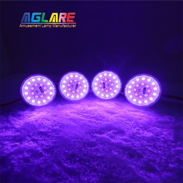 Factory Manufacturer Chameleon Carnival Ride LED Lights