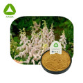 Astilbe Chinensis-Extrakt-Astilbin-Pulver CAS 29838-67-3