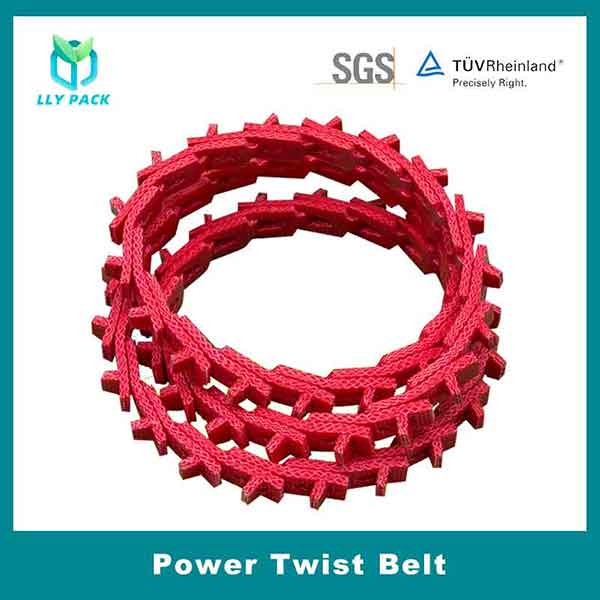 Power Twist Belt (1)