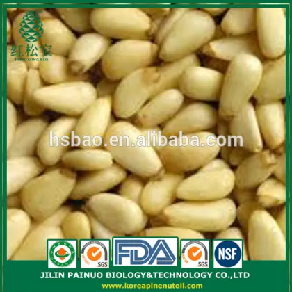 100% Wild Harvest Organic Precious Korean Pine Nut Kernels