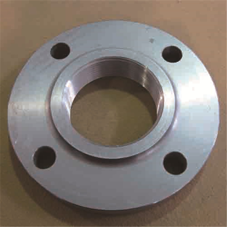 DIN2576 SLIP-ON FLANGE STAINLESS STEEL SCH60