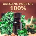 Vente en gros 100% d&#39;huile d&#39;origan naturel pur en gros