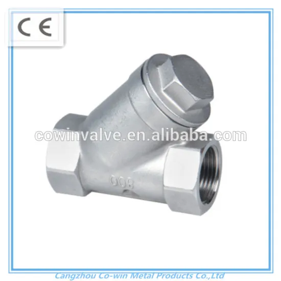 HeBei Supply 304 Stainless steel Y Type Check Valve