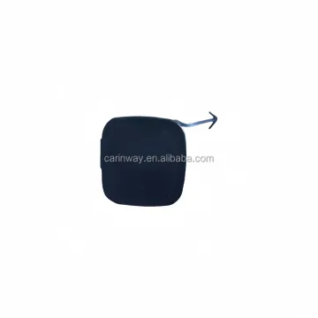 Front Bumper Hole Cover for LEXUS ES 2006-2009 - Direct Sale from Famous Brand