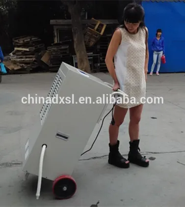 Wholesale New 80L/D industrial commercial dehumidifier with handle and Panasonic compressor