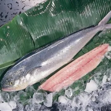 High Quality Seafood Product Natural Fillet Frozen Mahi Mahi
