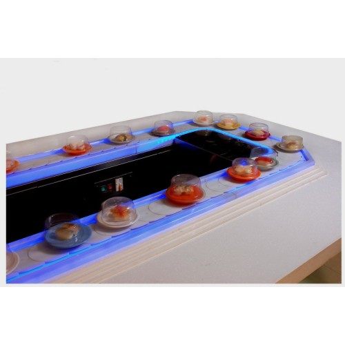 Rotary Food Conveyor Belt Luminous rotary food conveyor belt Factory