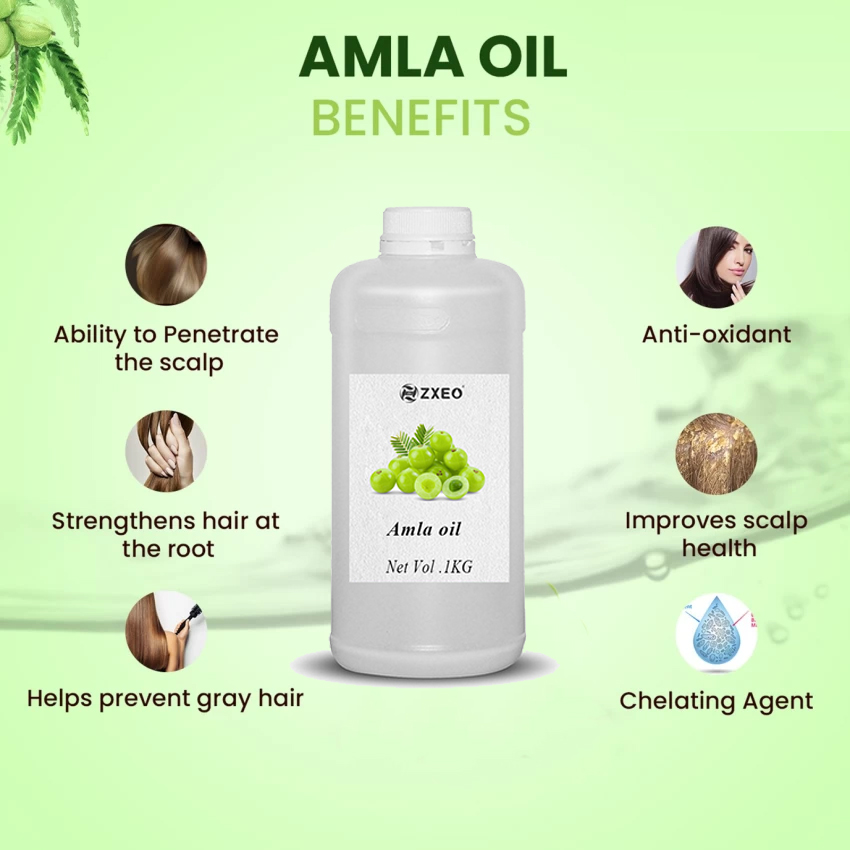 Meilleure qualité fournit en gros de l&#39;huile AMLA Organique naturelle 100% pure
