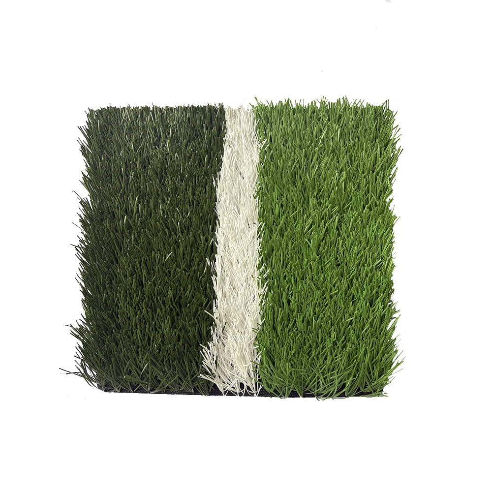 Football grass L6P0