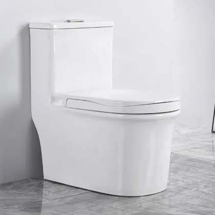 Siphon Sanitary Ware WC Inodoro - 300mm Elongated One Piece Dual Flush Toilet
