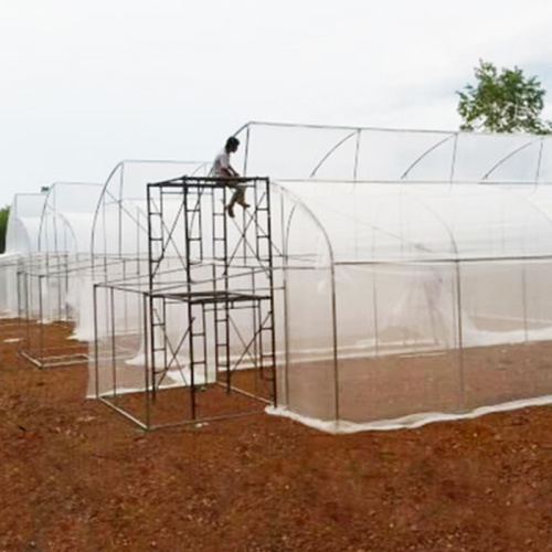 Pantalla de malla de prueba de insectos de agricultura