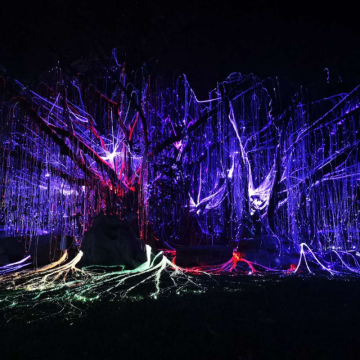 Waterproof Color-Changing Fiber Optic LED Curtain Lights for Outdoor Use