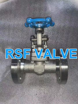 API 602 Valvola di gate flangia integrale forgiata
