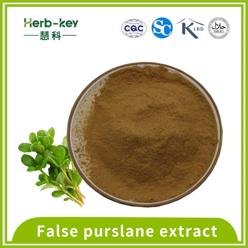 Anti-ansiedade Falsa Purslane Extract 50% Bacogenina A