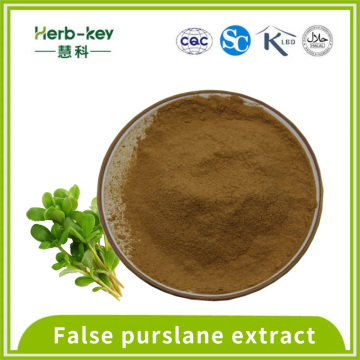 Anti-anxiety False purslane extract 50% Bacogenin A