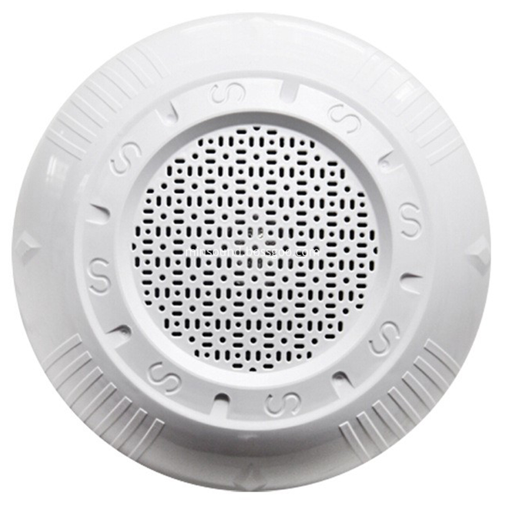 Altoparlante a soffitto Ceiling Mount Speaker
