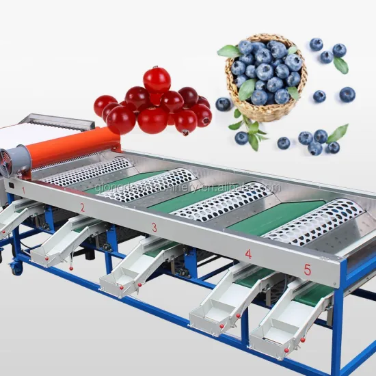 Commercial Roller Type Blueberry Apple Citrus Fruit Sorting Machine at Factory Price