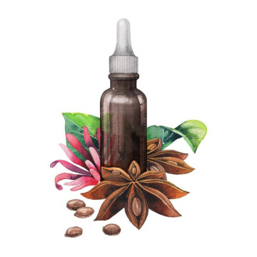 high-quality and low-price pure nature star anise oil