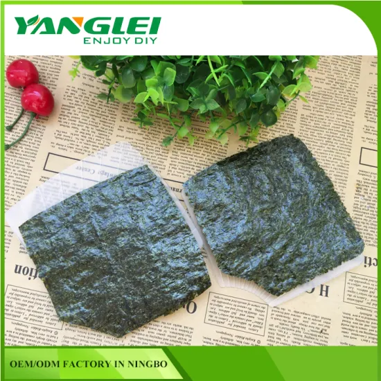 YANGLEI Non-Stick Hand Roll Sushi Mold Maker Rice Paddle Set Made In Ningbo