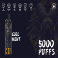 Vape năng lượng 5000 puffs Vape